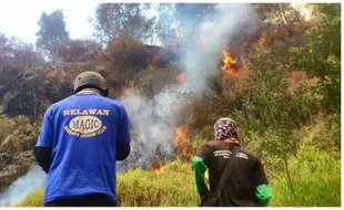 KEBAKARAN MERAPI : Api Dipastikan Padam, BTNGM Bentuk Tim Pemantau Merapi