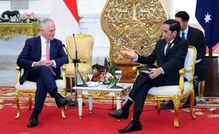 INDONESIA-AUSTRALIA : Jokowi Minta Dorong Pembiakan Sapi Australia di NTT dan NTB