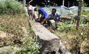 TATA KOTA BOJONEGORO : Pindahkan Kayu Tua ke Alun-Alun, Bojonegoro Gelar Upacara Adat