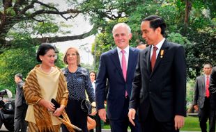 INDONESIA-AUSTRALIA : Selain Pasar Sapi, Ini yang Ditawarkan Indonesia untuk Investor Australia