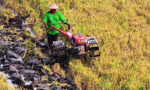 PEMEKARAN DESA : Miliki 28 Dusun, Desa Pacarejo Berharap Pemekaran