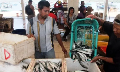 PEMBERANTASAN ILLEGAL FISHING : Produksi Ikan Indonesia Berhasil Salip Thailand dan Filipina