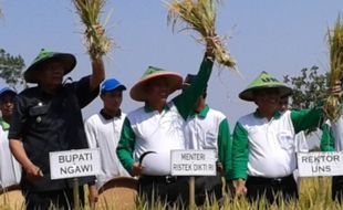 PANEN RAYA NGAWI : Dari Ngawi, Menristekdikti Dorong Pertanian Organik