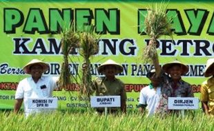 Beralih ke Benih Inpari, Petani Minta Bukti