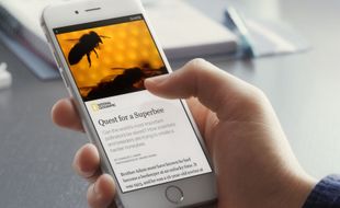 FITUR BARU FACEBOOK : Fitur Instant Articles Versi Beta Meluncur di Indonesia