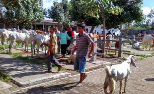 Lahan Bekas Pasar Hewan Pengasih akan Dibangun Gedung Bank