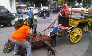 TITIK NOL KILOMETER JOGJA : Lantai Titik Nol Licin, Kusir Andong Harus Berhati-hati