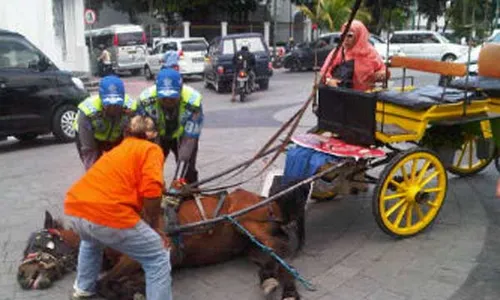 TITIK NOL KILOMETER : Antisipasi Tergelincir, Apakah Mengganti Tapal Kuda dengan Karet Jadi Solusi?