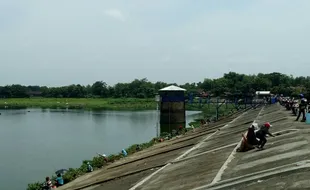 PERIKANAN BOYOLALI : Waduk Cengklik Tercemar Limbah, Ribuan Ikan Keramba Mati