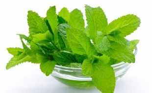 TIPS DIET SEHAT : Bakar Lemak 4 Hari, Konsumsi Minuman Daun Mint-Mentimun Ini!