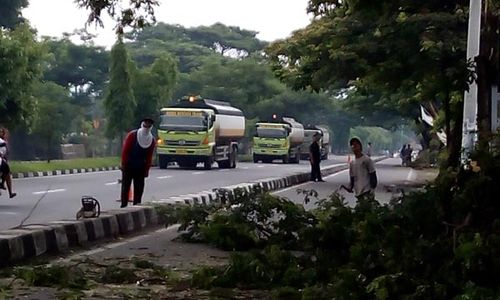 Ada Pemangkasan Pohon, Sarimulyo dan Sekitarnya Mati Listrik