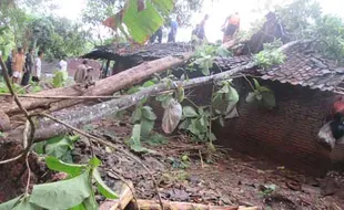 Angin Kencang di Gunungkidul, 5 Rumah Rusak