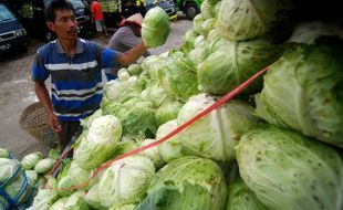 Ekspor Sayur & Umbi-Umbian di Jateng Tertinggi Se-Indonesia