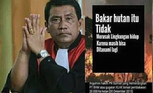 Pernyataan Hakim “Bakar Hutan Tak Merusak Lingkungan” Hebohkan Netizen