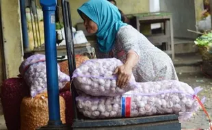 FOTO MASYARAKAT EKONOMI ASIA : Bawang Putih China Unggul di Magetan