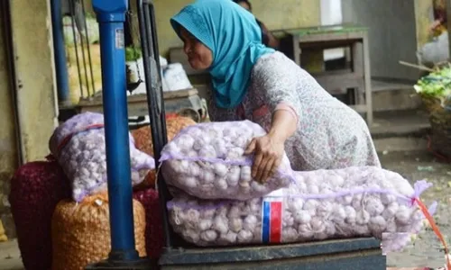 FOTO MASYARAKAT EKONOMI ASIA : Bawang Putih China Unggul di Magetan