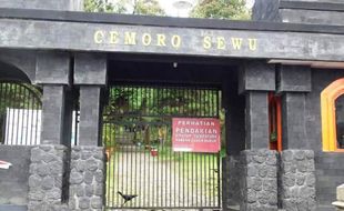 PUNCAK LAWU : Cemoro Sewu Ditutup, Cemoro Kandang Dibuka