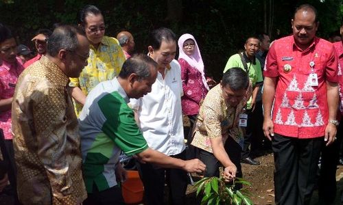 DESA WISATA SEMARANG : Dukung Program Pariwisata, Ini Konsep Desa Wisata Buah