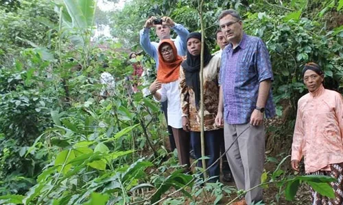 KOPI PEGUNUNGAN MENOREH : Dubes Kanada Kunjungi Kebun Kopi Suroloyo