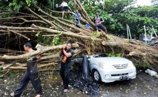 Sukoharjo Hari Ini: 29 November 2009, 2 Polisi Meninggal Tertimpa Pohon