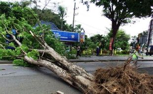 FOTO ANGIN KENCANG JOMBANG : Pohon Tumbang Timpa Pos Polisi