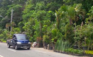 PENATAAN KOTA JOGJA : Kawasan Ekonomi Terpadu Rejowinangun Belum Disetujui Walikota