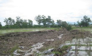 LONGSOR KLATEN : Sawah Longsor di Senden Ngawen Seluas 3 Ha