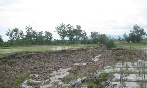 LONGSOR KLATEN : Sawah Longsor di Senden Ngawen Seluas 3 Ha