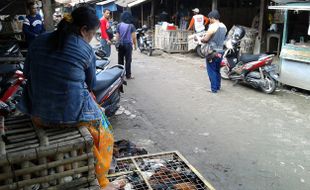 Rencana Relokasi Pasar Ayam Semanggi & Pasar Ikan Balekambang Belum Jelas