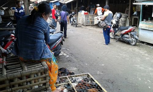 Rencana Relokasi Pasar Ayam Semanggi & Pasar Ikan Balekambang Belum Jelas