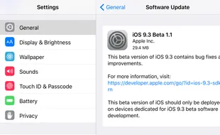 OS TERBARU : Penggunaan IOS 9 Capai 84%