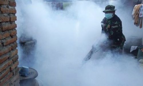 KASUS DBD KULONPROGO : Fogging Sudah Menyasar Tujuh Lokasi