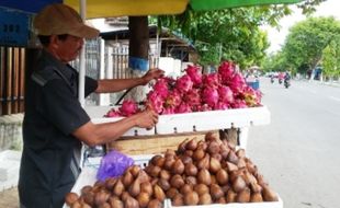 TAHUN BARU IMLEK : Jelang Libur Imlek, Harga Buah Naga Turun