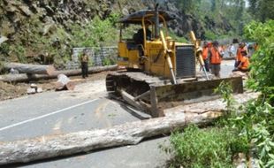 LONGSOR MAGETAN : Pohon di Jalur Wisata Sarangan Ditebangi, Mengapa?