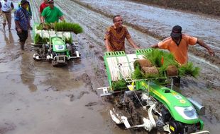 PERTANIAN BOYOLALI : Petani Boyolali Tertarik Gunakan Rice Transplanter