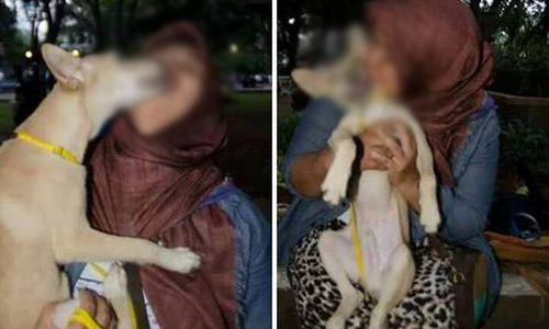 FOTO KONTROVERSIAL : Pamer Cium Anjing, Gadis Berjilbab Ini Tuai Kecaman