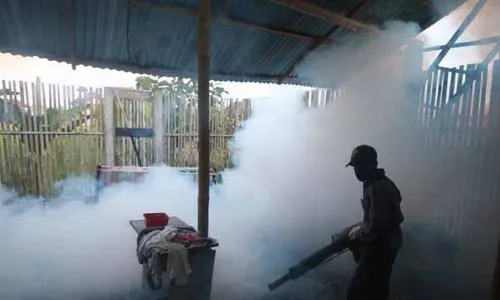 DEMAM BERDARAH TULUNGAGUNG : DB Merajalela, 81 Lokasi Jadi Sasaran Fogging