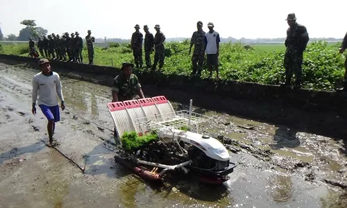 PERTANIAN BOYOLALI : Kesulitan Cari Buruh Tanam, Petani Boyolali Pakai Transplanter