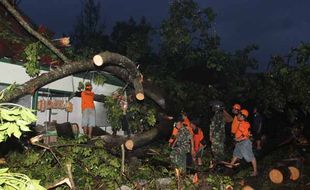 CUACA EKSTREM : Kebun Binatang Gembiraloka Tutup 2 Hari