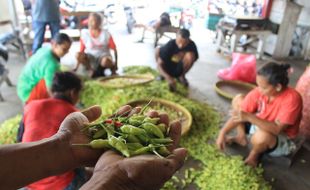 KEBUTUHAN POKOK : Harga Cabai Diprediksi Terus Terkerek