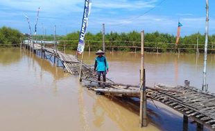 WISATA KULONPROGO : Wisata Jembatan Api-Api Tutup Sepekan