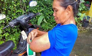 LEBAH MENYERANG WARGA : Sarang Lebah Dibersihkan, Serangan Berhenti