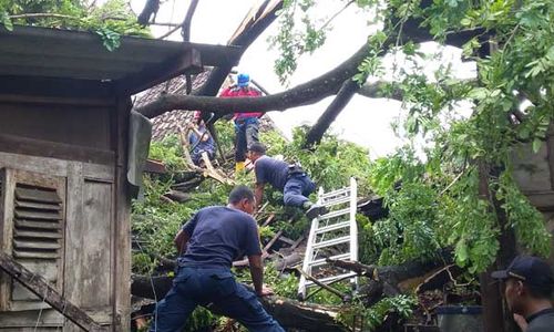 BANTUAN KORBAN BENCANA : Rumah Rusak Tertimpa Pohon, Apa Bantuan dari Pemerintah?