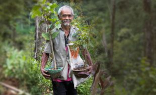 KICK ANDY METRO TV : Mbah Sadiman Warga Wonogiri Masuk Nomine Kick Andy Heroes Award 2016