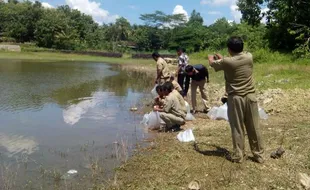 PERIKANAN DAERAH WONOGIRI : Disnakperla Wonogiri Tebar 336.000 Benih Ikan, Ini Tujuannya