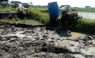 BENDA BERSEJARAH BOYOLALI : Penemu Arca Bodhisatwa di Kadireso Pertanyakan Kompensasi