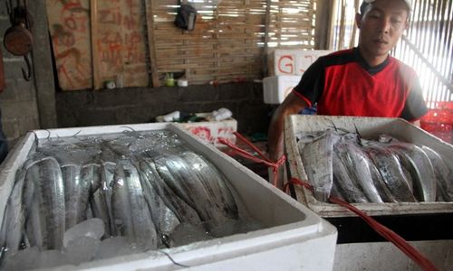 PERIKANAN JATIM : Musim Ikan Layur, Ratusan Andon Serbu Pesisir Tulungagung dan Trenggalek