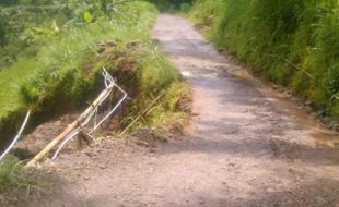 JALAN RUSAK PONOROGO : Jalan Rusak Picu Kecelakaan, Netizen Usul Ditanami Padi