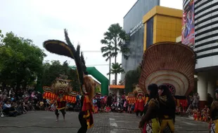 MILAD PSRM UMP : Parade Dadak Merak Tutup Perayaan Milad PSRM