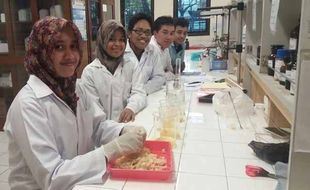 PENELITIAN MAHASISWA : Kulit Kaki Ayam Dikembangkan Jadi Pembungkus Dodol